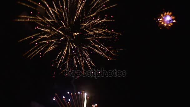 Heldere vuurwerk op de zwarte achtergrond Grand vuurwerk Show lawaai lichte soezen van rook viering in een grote schaal romantische avond Gift voor vrouw — Stockvideo