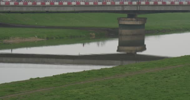 Автомобильный мост поддерживает бетонное здание ландшафт зеленый луг и узкая гладкая река находится под мостом птицы летают над водными автомобилями — стоковое видео