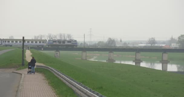 Woman With Baby Pram Walks by Footpath Landscape Green Lawn Cityscape Train is Riding by Bridge Over the River People at the Nature Cloudy Foggy Spring Day — Stock Video