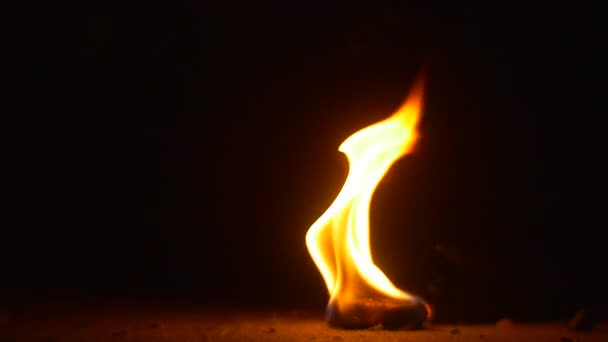 Small Bonfire on the Dusty Ground Hexamine Fuel Tablet is Burning on the Ground Bright Flames on Black Background High Temperature Ancient Lighting — Stock Video