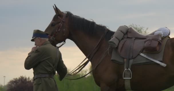 Alter Soldat niest in der Nähe eines Pferdes — Stockvideo