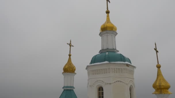 Man nära Towers Domes of heliga berg Lavra Park av grotta kloster i vinter Fir träd landskap grumligt snöig dag ortodoxt religiösa byggnader exteriör — Stockvideo
