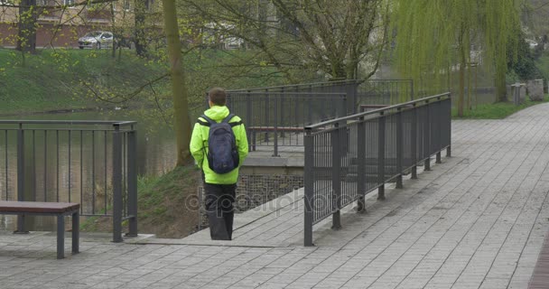 Man Goes Down by Stairs and Approaches to Tree — Stok Video