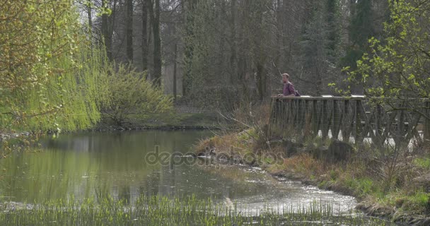 Человек на деревянном мосту берет планшет из рюкзака Малая река с каменистым банком Спрингтайм Парк в солнечный день голые ветви деревьев в лесной ландшафтный дизайн — стоковое видео