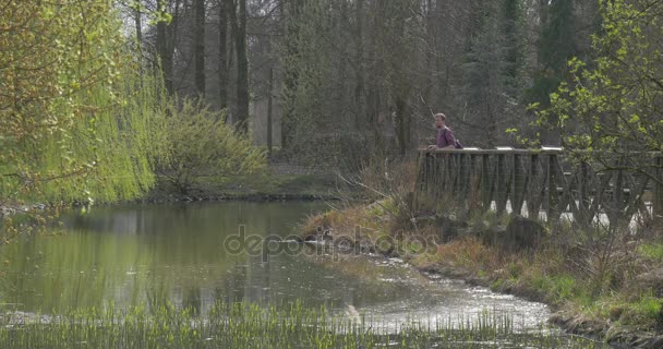 Man op houten brug neemt Tablet uit rugzak kleine rivier met steenachtige Bank Springtime Park in zonnige dag kale takken bomen in bos landschap Design — Stockvideo