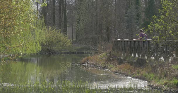 El hombre camina por el puente toca sus rieles Descanso turístico en el hermoso paisaje rural Parque de primavera Río pequeño en día soleado Ramas desnudas Árboles en el bosque — Vídeo de stock