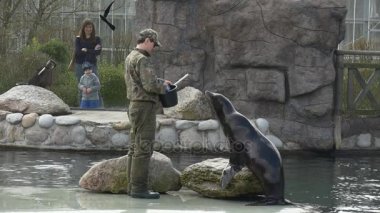 Kız ve annesi Karadeniz aslan standı