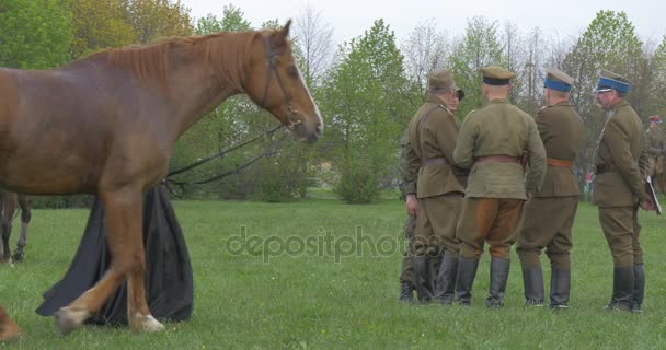 Dia da bandeira polonesa em Opole Soldados do sexo masculino conversando rindo no campo Cavaleiros regimento de cavalos estão montando em cavalos pessoas em uniforme militar vintage autêntico — Vídeo de Stock