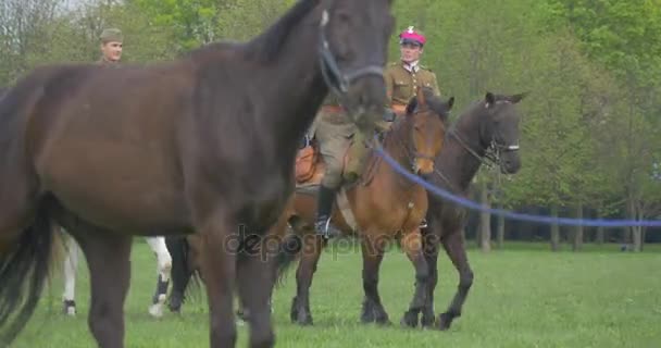 Polský Vlajka den v Opole armád jezdecké koně vlajka je mávat žena ženich vede koňských lidí v autentické Vintage vojenská uniforma na zelené louce — Stock video