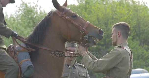 Jour du drapeau polonais Opole Man tient la bride du cheval Soldat assis à cheval au défilé militaire Soldat en casquette de fourrage Vintage uniforme militaire — Video