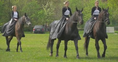 Lehçe bayrak günü az sayıda kadın siyah önlük atlar süvarilere geçit töreni ulusal tatil güneşli gün, yeşil alan araçlarda sürme çitin arkasında park edilmiş Opole'deki / daki