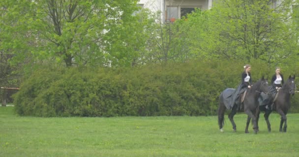 ビンテージの黒いガウン暗い茶色の馬で草原ライダー周りの馬に乗ってポーランド国旗の日オポーレの 2 人の女性が公園の祭典リハーサル繋駕速歩レースします。 — ストック動画