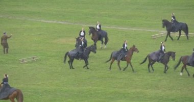 Opole şehir gün biniciler hatta kadar atlar kadın Süvari Alayı yeşil alan kadınlar oluşumunda Vintage siyah uzun önlük biniciler gerçekleştirmek kahverengi at üzerinde