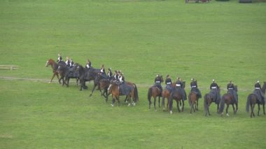 Yeşil alan bisikletçi Vintage siyah uzun önlük gerçekleştirmek kahverengi ata ata binme Opole şehir gün karmaşık oluşumu sürüş kadın süvari alayı olduğunu