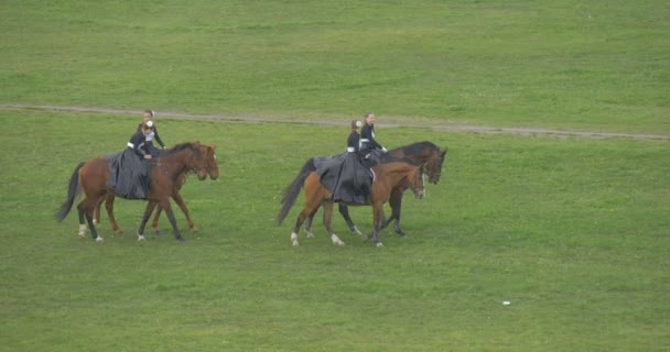 Opole City Day Donne a Cavalli Dimostrazioni Cavalieri sul campo verde Ragazze si esibiscono in Vintage Black Abiti lunghi alla parata Bational Holiday Brown Horses — Video Stock