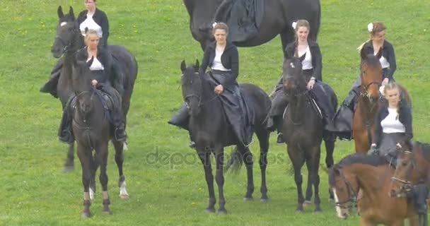 Πόλη Opole ημέρα γυναίκες στα μαύρα στην παρέλαση αλόγων θηλυκό άλογο Σύνταγμα διαδηλώσεις στο πράσινο πεδίο αναβάτες εκτελούν σχηματισμό σε καφέ άλογα θυελλώδη ημέρα — Αρχείο Βίντεο
