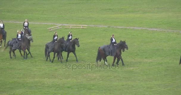 Dzień miasta Opola koń pułku na wojnie prób konie wydajność demonstracji na zielone pole zawodnicy wykonują formacji kobiet w Vintage długie suknie — Wideo stockowe