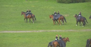 Bayrak günü Opole genç kadınlarda atları at binme yeşil sahada iyi giyimli güzel biniciler içinde sürme çiftleri bahar çimenlerin üzerinde sürme oluşumu gerçekleştirmek