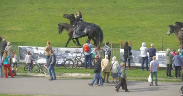 Ημέρα της σημαίας στις γυναίκες Opole άλογα σε ζεύγη καλά ντυμένος όμορφη αναβάτες εκτελούν σχηματισμό ιππασία μπροστά σε κοινό άνθρωποι παρακολουθούν προσεκτικά — Αρχείο Βίντεο