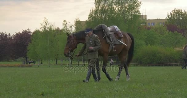 オポーレ物思いにふけるソルジャー フラグ日つながる本格的なヴィンテージの軍服を着て馬連隊人のパレードの準備下へ見ている馬 — ストック動画