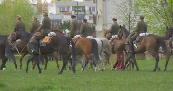 День прапора в Ополе підготовки до параду кінь полку вершників на коней робітників, несучи обладнання реконструкція обмундирування автентичних історичних подій — стокове відео