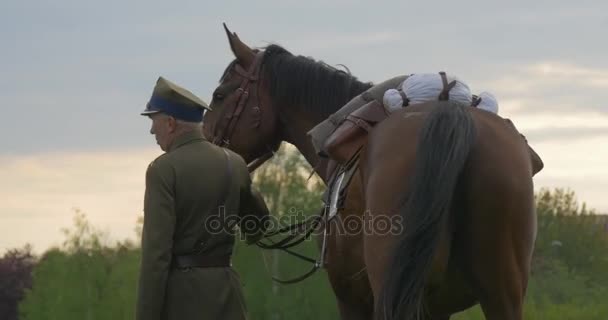 Día de la Bandera en Opole Soldado sostiene brida de caballo y estornuda desfile de jinetes del regimiento de caballos Representación de eventos históricos en uniforme vintage auténtico — Vídeos de Stock