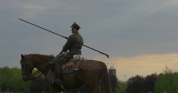 一个成年男子去骑上一匹棕色的马 — 图库视频影像