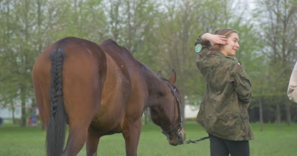 Cavaliere comunica con una ragazza — Video Stock