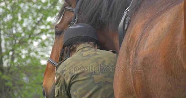 Rider kalmeert paard voordat u begint met wedstrijden — Stockvideo