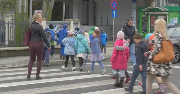 폴란드 2016 자동차는 보행자 멈췄습니다 초등학교의 학생들은 도로를 통과합니다 학생들이 — 비디오