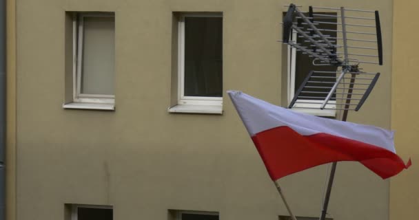 Polska flaggan är fladdrar på en vind — Stockvideo