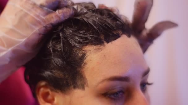 Stylist masseren cliënt hoofd met kleurstof haarkleuringspakket Home haren verven kapsalon handen Client de ogen zijn bedekt gesloten Stylist als een Hobby thuis of Salon — Stockvideo