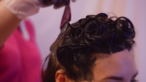 Aplicando o corante com as mãos escova em luvas Casa Tintura de cabelo Haircolor Dicas e Truques Olhos do cliente com maquiagem Stylist como um Hobby Experiência Proficiência — Vídeo de Stock