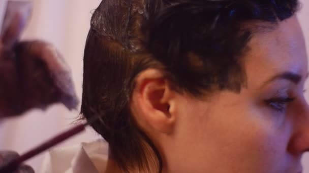 Εφαρμόζουν καφέ βαφή με πινέλο τα χέρια στο σπίτι γάντια μαλλιών βαφής Haircolor συμβουλές και κόλπα στυλίστας στα μάτια του πελάτη ως ένα χόμπι Hairstyle για φίλος στυλίστας — Αρχείο Βίντεο