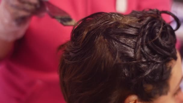 家发染师体验熟练的女人应用与刷头发颜色提示造型师作为一个爱好制作发型为她的客户 — 图库视频影像