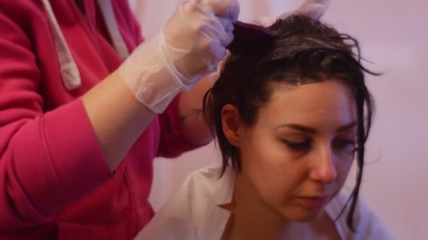 La stilista del viso concentrata della donna applica la tintura con le idee del pennello per lo stilista domestico dei capelli come hobby La donna del salone sta facendo l'acconciatura per l'amico — Video Stock