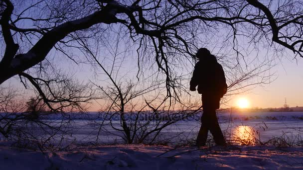 Ενατένιση του ένα χειμωνιάτικο ηλιοβασίλεμα. Ανδρική σιλουέτα ενός τουριστικού στις όχθες του ποταμού — Αρχείο Βίντεο