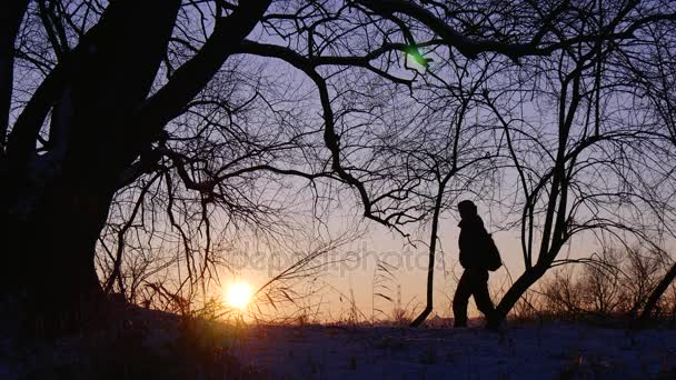 Der Reisende geht vor dem Hintergrund der untergehenden Sonne. schneereicher Winter — Stockvideo