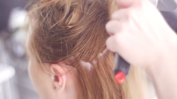 Stilist kıllar geri çeker ve saç kurutma makinesi stil zarar saç doğru yol ipuçları tedavi uzman Kuaför tarafından tasarruf saç stil saç kurur — Stok video