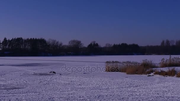 På en klar dag i snötäckta sjön. — Stockvideo