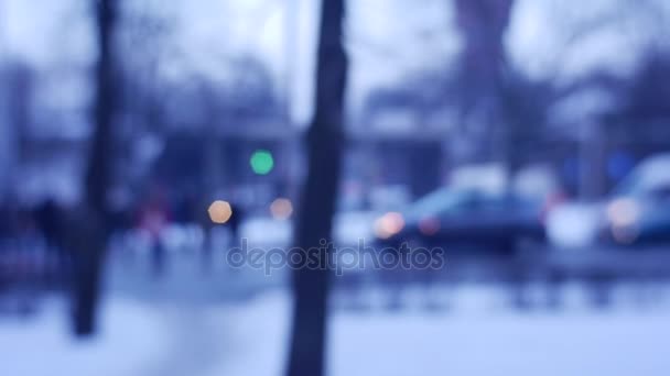 겨울 보행자도로 공원 나무에 서 시의 파노라마 실루엣 제어 교차로 바쁜 일정 보행자 서둘러 산책 — 비디오