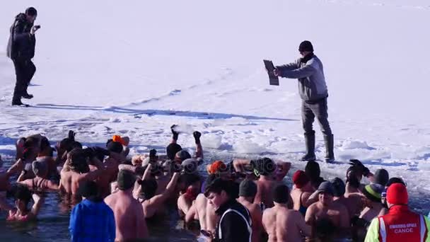 Великий Моржі команда купається в зима в холодну подія фотограф бере — стокове відео