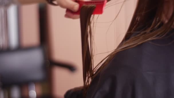 Mujer-Peluquería prende fuego al cabello de un cliente — Vídeo de stock