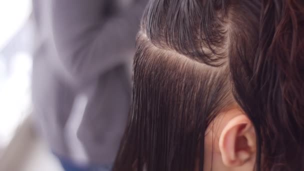 Procedure Application Reducing Cream Hair Hairdresser Uses Hairdrier Warm Cream — Stok Video