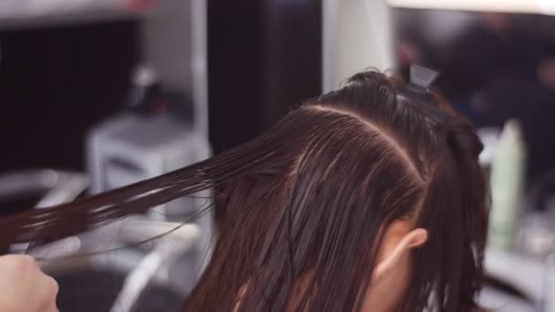 Κομμωτήριο Χτένισμα Μαλλιά Της Πελάτισσας Γυναίκα Στο Σαλόνι Σπα — Αρχείο Βίντεο