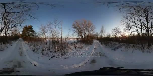 360vr Video borovic a keře Grove venkova zimní krajina rodina na dovolené sáňkování v městský Park chladného slunečného dne modrá hodina fotografování Blue Sky — Stock video