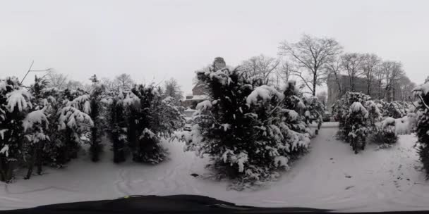 360 Grados Panorama Árboles Nevados Parque Ciudad — Vídeo de stock