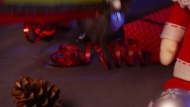 El yapılmış fotoğraf çerçevesi yüklü altında bir köknar ağacı Noel için bazı çocuk hediye olarak, ile bir menekşe katında hizmet vermektedir arka planı olarak 's