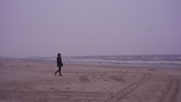 Woman Walking Sea Coast Cold Weather – Stock-video