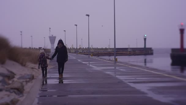 Jeune maman avec un enfant aller le long de la route asphaltée — Video